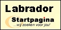 Labrador Startpagina.nl
